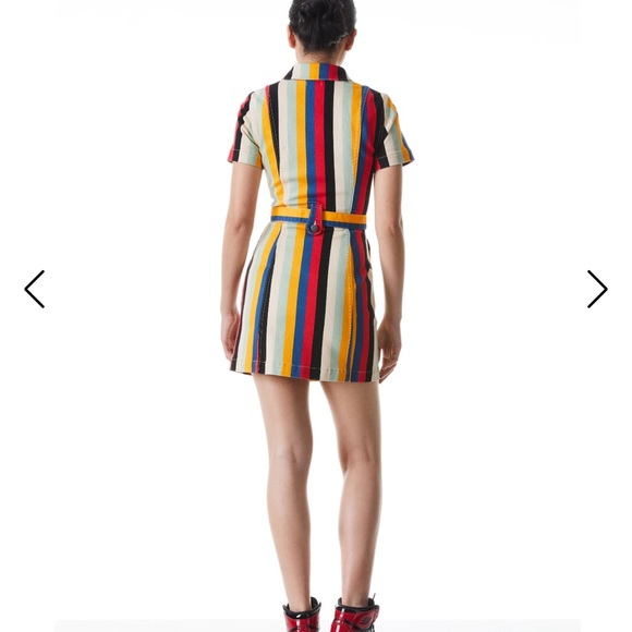 Super versatile Bohemian striped denim belted dress, Size 10! Alice + Olivia! - Picture 8 of 16